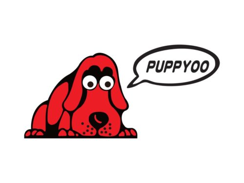 Puppyoo предложит максимальные скидки на свою продукцию в ходе Международного шопинг-фестиваля 11.11